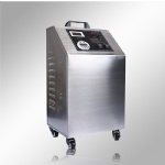 Fresh air system air cleaner 10G ozone generator